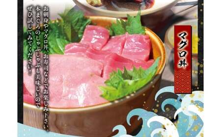 本マグロ 冷凍 まぐろ マグロ 鮪 中トロ 赤身  本マグロ 【1か月以内に発送】（養殖）トロ＆赤身セット 240g【nks113】