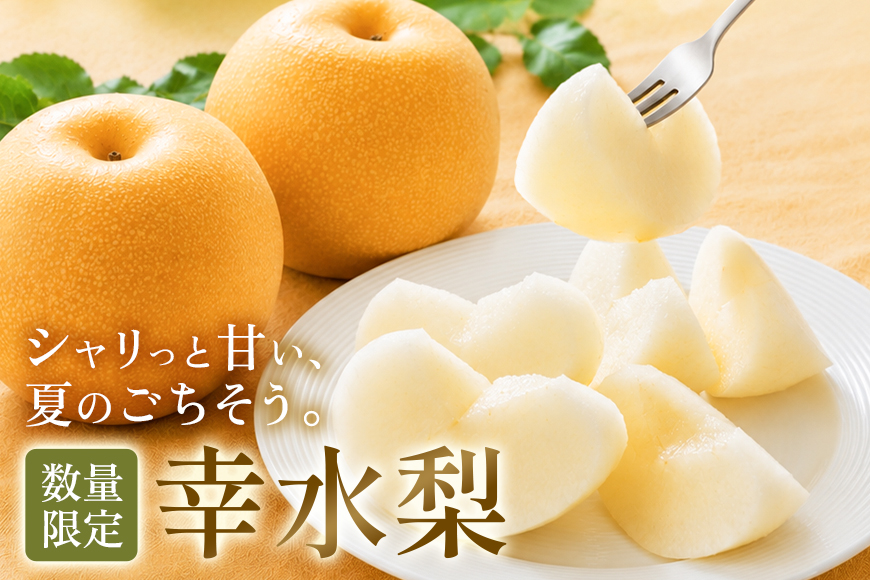【ふるさと納税】【先行予約】幸水梨 幸水 5kg 10玉～14玉 梨 なし ナシ 完熟 福岡県産 うきは市 大容量 フルーツ 果物 くだもの 甘い ジューシー 旬 秋の味覚 お中元 ギフト 贈り物 家