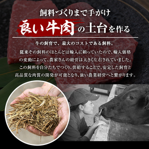 鹿児島県産 黒毛和牛 (4～5等級)ヒレ ステーキ 2種盛り(合計480g・240g×2パック) 牛肉 赤身 国産【カミチク】A231-v01