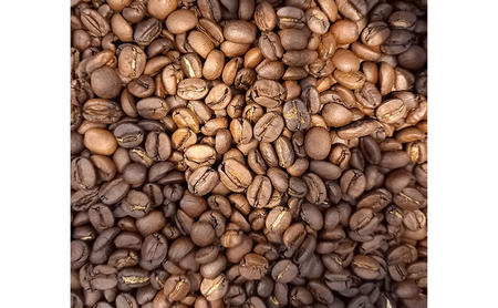 コーヒー 〈スペシャルティコーヒー飲み比べ〉コーヒー豆100g×2種（中煎＆深煎）豆or粉 食品 お菓子 モンキーポッド 豆 粉 コーヒー豆 珈琲 墨田区 東京都 粉