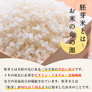 ＜7～9月配送不可＞鳥取県産胚芽米(計7kg・5kg袋 / 2kg袋)鳥取県 鳥取産 お米 おこめ 精米 おにぎり おむすび ごはん お弁当 常温 健康 ビタミン 食物繊維【sm-CL001】【豆ひと