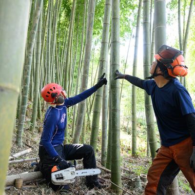 ふるさと納税 安芸高田市 癒しの馬ふん堆肥 ちくば 10L(4kg)[No5895-0588] |  | 02