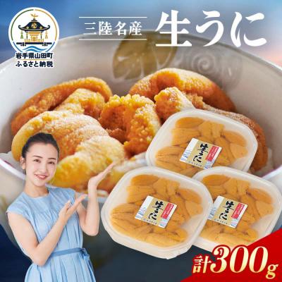 ふるさと納税 山田町 【無添加】三陸山田 生うに 【先行予約】100g×3パック 令和9年5月中旬以降発送 ウニ