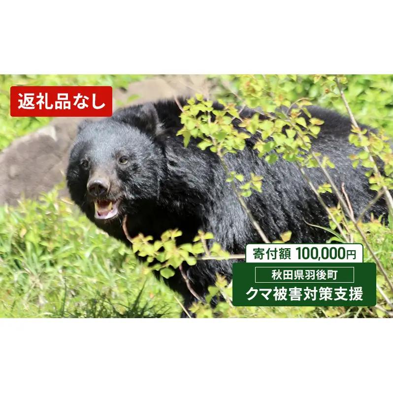 クマ被害対策支援寄附のみ返礼品なし羽後町クマ被害対策支援【100,000円】