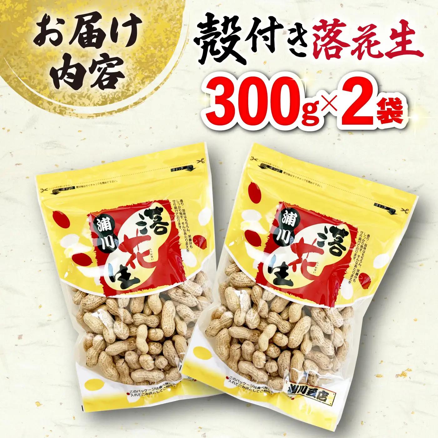 殻付き 落花生 合計約600g（300g×2袋） ピーナツ おつまみ 大村市 浦川豆店[ACZR018]
