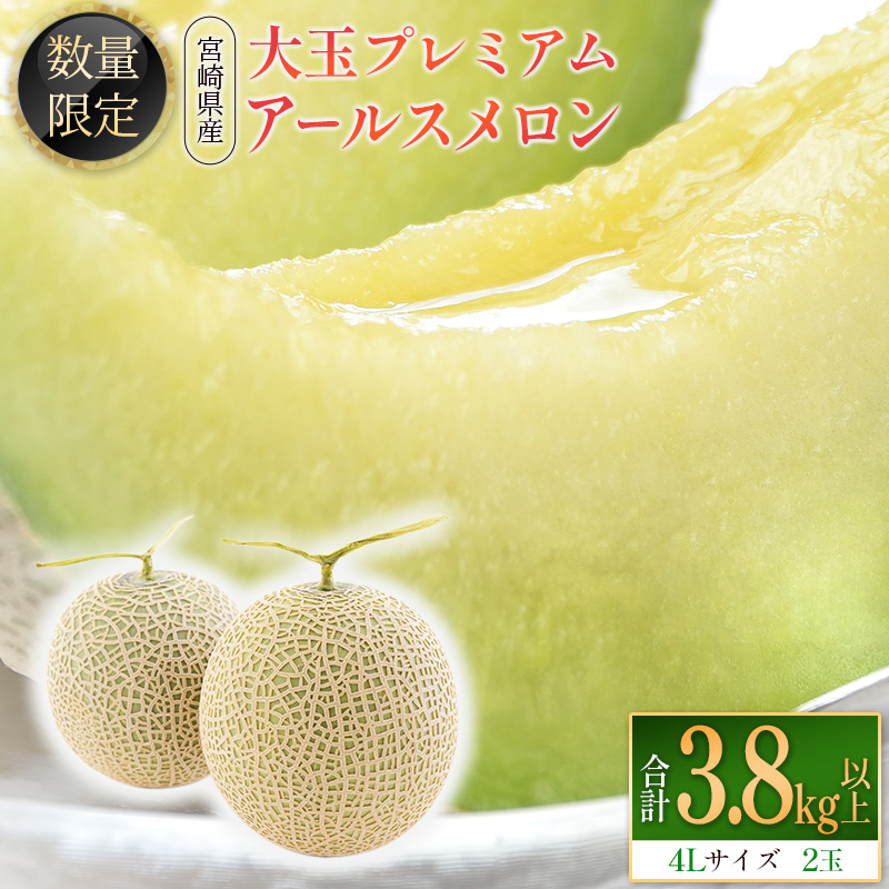 ＜数量限定＞大玉プレミアムアールスメロン 4L2玉 秀品 計3.8kg以上 先行予約 国産 宮崎県産 ※2026年5月～7月の期間内に出荷【C331-02】