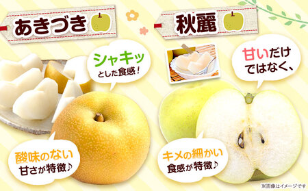 梨 なし 荒尾梨 約1.8～2kg 果物 和梨 村上果樹園 あきづき 甘太 秋麗 【品種の指定不可】 《8月上旬-9月末頃出荷》熊本県 荒尾市 2kg 前後 果物 フルーツ 旬 荒尾市産 国産 冷蔵 