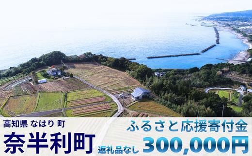 
            999999-6【応援寄附金】高知県奈半利町 1口 30万円 返礼品なしのご寄附　【奈半利町役場】 
          