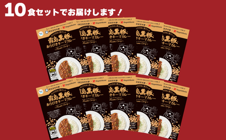 霧島黒豚あらびきキーマカレー 150g×10食 セット 計1.5kg 限定 40セット ( 豚肉カレー 黒豚カレー ブランド黒豚カレー キーマカレー 霧島黒豚カレー カレー カレーライス レトルトカレ