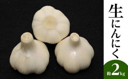 生にんにく 約2kg【2026-5月上旬～2026-6月上旬配送】| にんにく