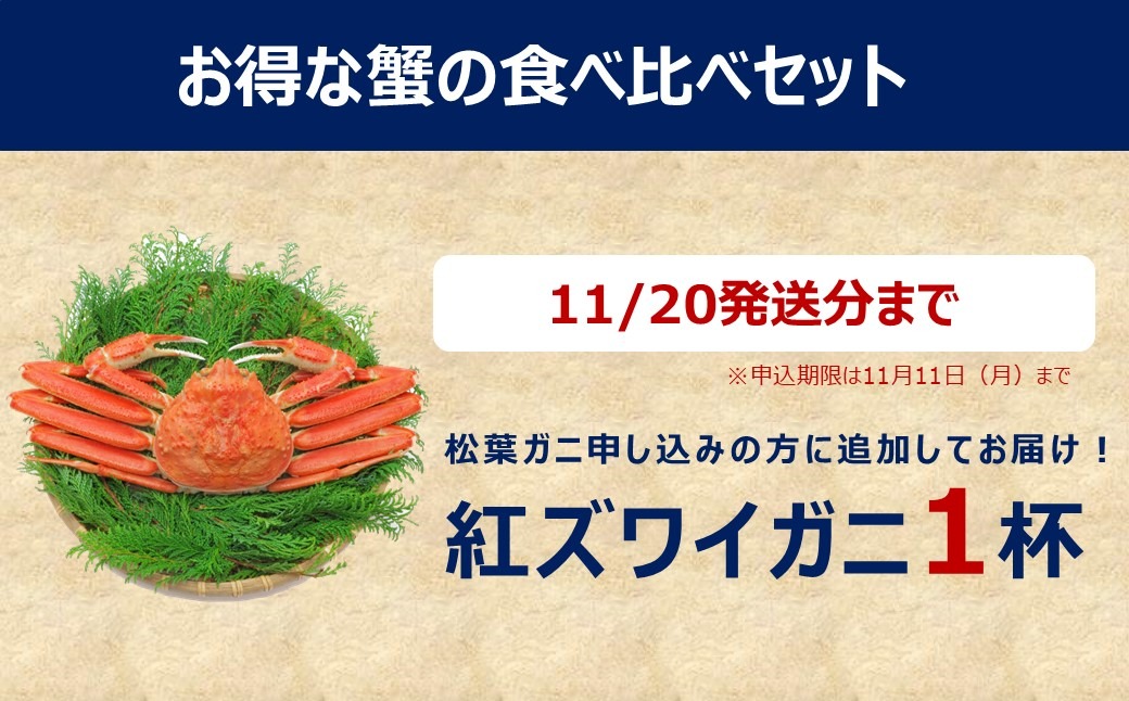 【期間限定！】活生 松葉ガニ 350～450g級 ブランドタグ付＜申込締切は11月11日まで＞11/20発送分まで紅ズワイガニ300gを1杯追加！