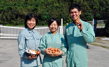 F-37【3か月定期便】お届け日時の指定可能「夢そだち60個」厳選飼料を食べて育った自社養鶏場の新鮮卵を♪