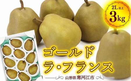 令和8年産 希少な 金系 ゴールド ラ・フランス 3kg（ 8 - 11 玉 ）2Lサイズ以上 サイズおまかせ 山形県産 【2026年11月上旬頃から12月下旬頃発送予定】　015-B-OT003