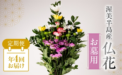 【定期便　年4回】産地直送 《お墓用》 仏花 日時指定可 生産額 日本一 田原市 渥美半島 月命日 お彼岸 お盆 年末 鮮度 生花 お花 定期便 お墓まいり