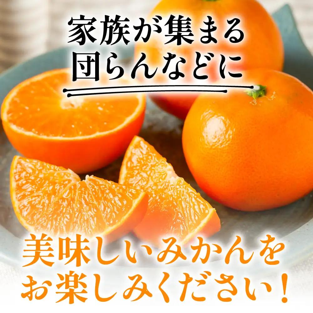 【先行予約】 みかん 八代市東陽町産の 「熊本EC12みかん」 約3kg みかん 【2026年12月上旬より順次発送】
