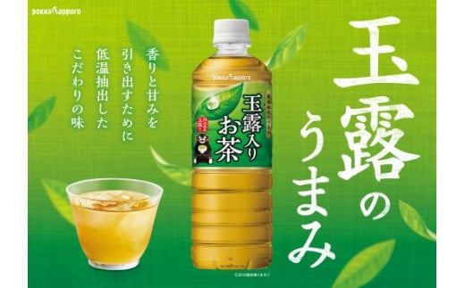 【定期便３か月コース】玉露入りお茶600ｍｌ×24本入【北海道・沖縄・離島　配送不可】×３回｜ お茶 茶 ペットボトル 玉露入り 玉露 飲料 定期便 定期