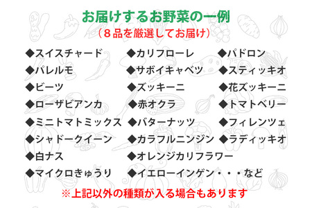2024年9月より発送！ 野菜ソムリエ“産直松の実の松原店長”厳選！ヨーロッパ野菜BOX 8品 ／ 人気 産直 採れたて 野菜