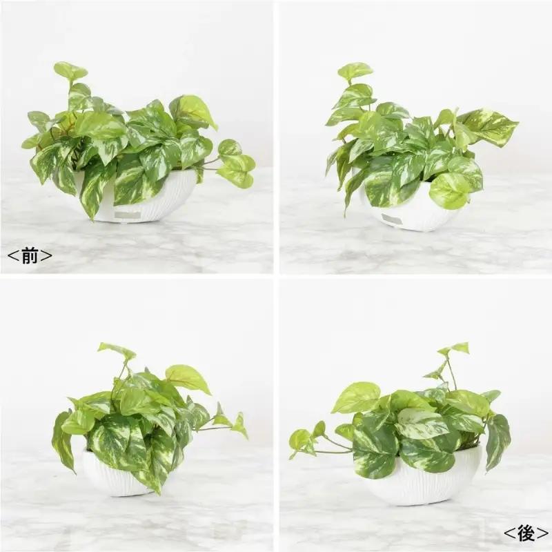 エミリオ・ロバ ポトス アーティフィシャルグリーン Sサイズ 造花 観葉植物 水やり不要 インテリア