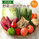 【ふるさと納税】熊本県産野菜の詰め合わせ 野菜8品以上 詰め合わせ 詰合せ セット やさい 季節の野菜 旬野菜 野菜 九州 熊本県 送料無料