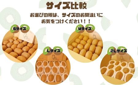 ＜12月頃発送＞奈良県 室生産 こだわり プレミアムキウイフルーツLサイズ14個×2箱入追熟処理済／ やまとファームJAPAN  果物 旬の食材 お取り寄せ お土産 贈答品 化学肥料不使用 特別栽培 