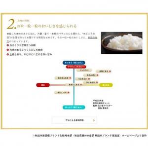 【毎月定期便】秋田県産　サキホコレ　1等　玄米30kg全6回【配送不可地域：離島・沖縄県】【4073016】