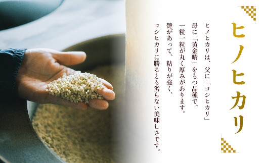 湯前町のお米「杵つき米」2kg 