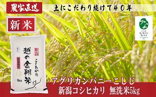 
            J8-7MC051A【越の金翔米】新潟県長岡産コシヒカリ無洗米5kg【「小さな生き物たちと育むお米」認証品】
          