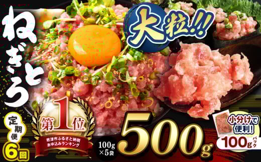 【 定期便 6回 】ねぎとろ 500g（100g×5袋） | 清幸丸水産 大人気 手巻き寿司 海鮮丼 マグロのユッケ まぐろ 海鮮 小分け 100g パック 千葉県 君津市