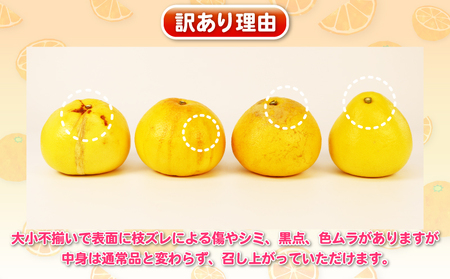 訳あり 旬 の 柑橘定期便 全4回 杉本屋 わけあり みかん定期便 完熟みかん 柑橘 みかん ポンカン 不知火 完熟 温州みかん 土佐文旦 文旦 ていきびん mikan 愛媛みかん愛媛ミカン 愛媛蜜柑