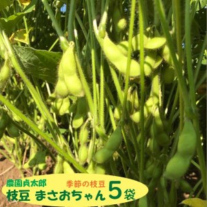 【7月下旬より順次発送】農園貞太郎 枝豆まさおちゃん 5袋（入金期限：2026.7.10）