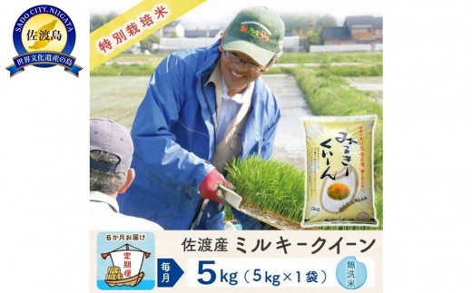 【新米予約 6か月定期便】佐渡島産ミルキークイーン 無洗米5Kg 令和7年 特別栽培米