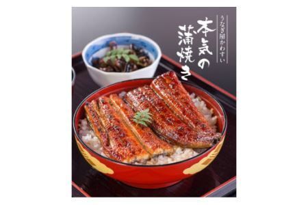 【大容量】国産うなぎ蒲焼きカット1kgセット (B59-2)