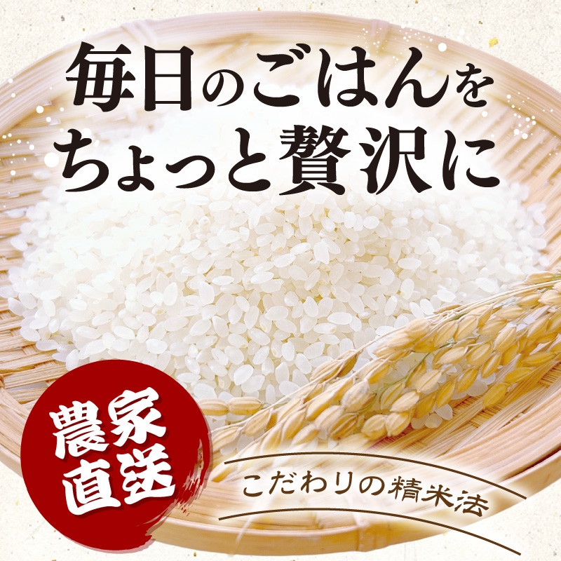 【先行予約】【令和8年産】 にじのきらめき うまみ精米 5kg／ 鮮度抜群 5キロ 福井県あわら産 玄米 お米 ※2026年9月下旬より順次発送 [aw071-a014]