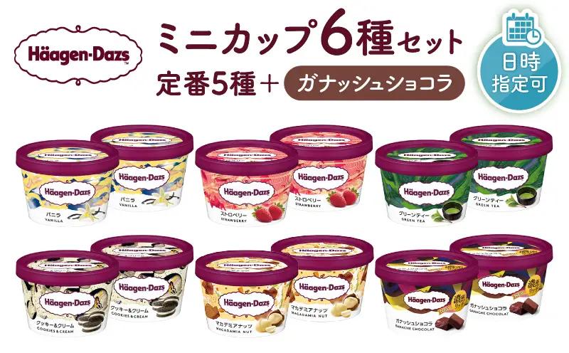 ハーゲンダッツ『ミニカップ12個セット（定番フレーバー＆新商品 ガナッシュショコラ）』アイスクリーム アイス スイーツ デザート_H0016-114