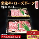 【ふるさと納税】【 ギフト用 】【常陸牛・ローズポーク焼肉セット(2~3人前)】 常陸牛 カルビ 約180g ローズポーク 約200g (ロース100g ばら100g)（茨城県共通返礼品・茨城県産）ブランド牛 茨城 国産 黒毛和牛 霜降り 牛肉 ブランド豚 豚肉 冷凍 贈り物 お祝い 焼肉