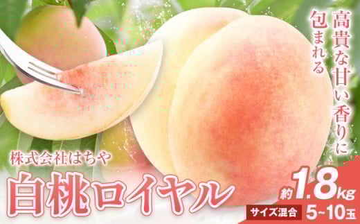 【2026年先行予約】岡山白桃 等級 ロイヤル 約1.8kg《2026年7月上旬‐8月下旬頃出荷》もも モモ 岡山 国産 フルーツ 果物 岡山県 浅口市 株式会社 はちや フルーツ モモ 果物 青果 旬 白桃 国産 岡山県産【配送不可地あり】