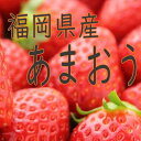 【ふるさと納税】福岡県飯塚市産 あまおう（2パック）＜先行予約＞朝採り 農園直送 あまおう いちご 270g以上×2P 福岡県産 飯塚市 数量限定 フルーツ スイーツ イチゴ 苺 国産 果物【A-798】