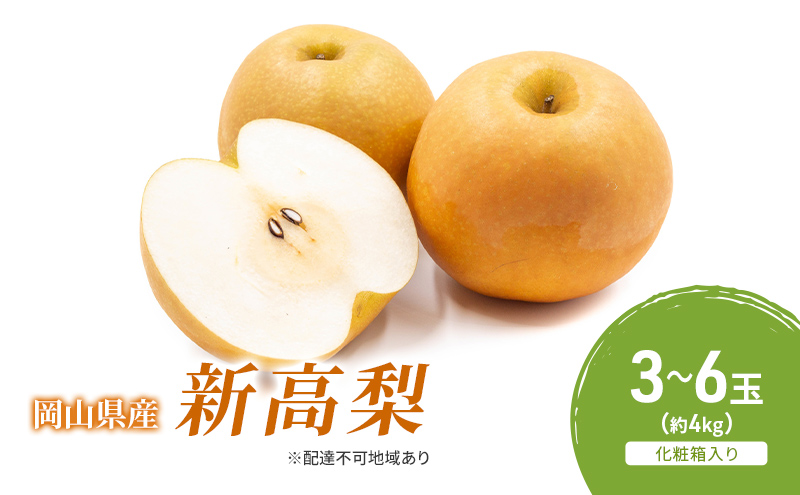 梨 2026年 先行予約 新高梨 3-6玉（約4kg） 化粧箱入り なし ナシ 岡山県産 国産 フルーツ 果物 ギフト 