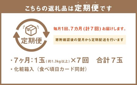 【7ヶ月定期便】 静岡県産高級 アローマメロン 白等級 約1.3kg以上×中玉1玉 （合計7玉） ／ 7回定期便 メロン 青肉メロン 中玉 果物 果実 フルーツ 定期便 静岡県 菊川市 常温