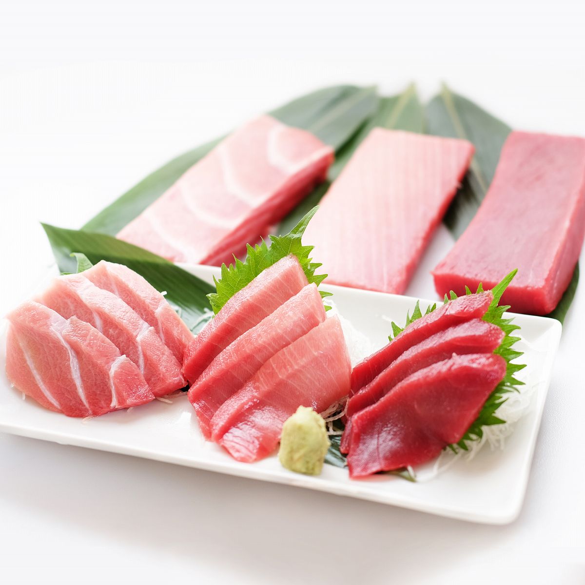 【ふるさと納税】 三崎のまぐろ 食べ比べ セット 計1kg まぐろ マグロ 鮪 本鮪 本マグロ ミナミマグロ メバチマグロ 大トロ 中トロ 赤身 三崎まぐろ 魚音 神奈川県 三浦市 おすすめ ランキング プレゼント ギフト