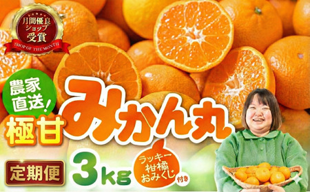 極甘みかん丸 3kg 定期便6回 温州 みかん