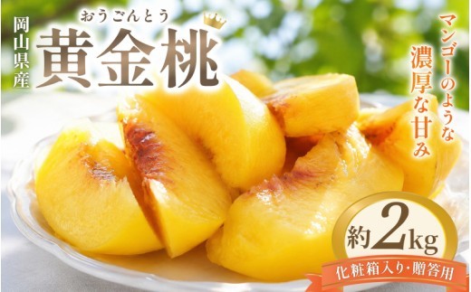 
                  桃【2026年9月初旬から順次発送予定】岡山県産黄金桃 2kg 化粧箱入り・贈答用｜桃 もも 黄金桃 モモ 果物 くだもの フルーツ ピーチ momo 岡山の桃 桃 産地直送 黄金桃 岡山県 フルーツ もも 桃 モモ 人気 桃 もも 新鮮 旬 真庭市 果物 フルーツ もも 桃 ピーチ 贈答 ギフト 家庭用 期間限定 令和8年発送 もも 桃 モモ momo 黄金桃 岡山 先行予約【hnds009】
                