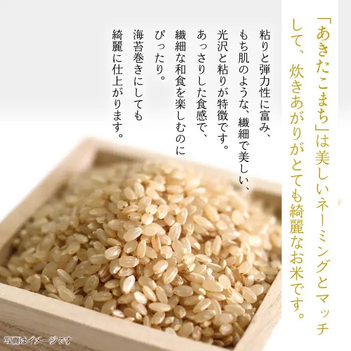 【 3ヶ月 定期便 】 武田家のお米 墾 あきたこまち 玄米 5kg 総量 15kg
