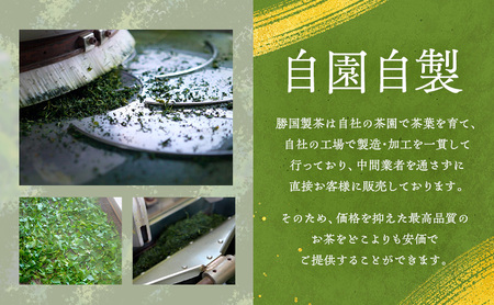 煎茶 鈴子 100g×２個セット 熨斗 のし あり お茶 贈答用 ギフト お中元 九谷つばき（のし有）