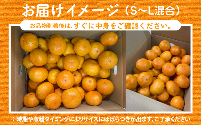 原口 みかん 5kg