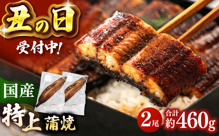 
            鹿児島産 うなぎ 蒲焼 2尾セット【土用丑の日 受付中！】▼ 国産 うなぎ 鰻 ウナギ 蒲焼 うなぎ 蒲焼き 肉厚 うなぎ うなぎ ウナギ 鰻 冷凍 特大 希少 鰻 うなぎ ウナギ 鰻 人気 ウナギ うなぎ おすすめ ランキング うなぎ おいしい うなぎ かばやき うなぎ 高級 特別 贅沢 うなぎ ウナギ 鰻 ひつまぶし うなぎ ウナギ 夏 鰻 九州 福岡 桂川町/山水商事 [ADAH008]
          