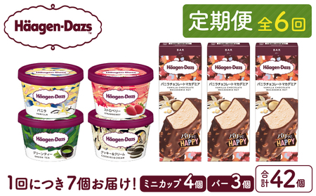 ＜全6回定期便・連続＞ハーゲンダッツ『ミニカップ＆バーセット(合計42個)』アイスクリーム アイス スイーツ デザート_H0016-173