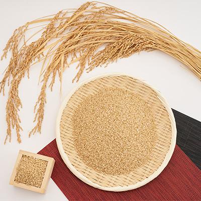 ふるさと納税 多古町 新米【令和7年産】たこまいらいふ萩原農場の多古米コシヒカリ(玄米)5kg　 |  | 02