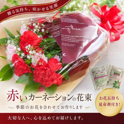 ふるさと納税 磐田市 母の日に!4月下旬以降順次発送　カーネーションブーケとおいしいお米のセット・お花長持ち栄養剤付き! |  | 01