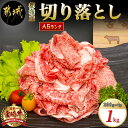 【ふるさと納税】都城産宮崎牛切り落とし(A5) - 牛肉 都城産宮崎牛(A5) 切り落とし 1kg(250g×4パック) ブランド牛 国産黒毛和牛 しもふり肉の切り落とし合計1キロ すき焼き・しゃぶしゃぶに A5等級 送料無料 MK-A001【宮崎県都城市は2年連続ふるさと納税日本一！】